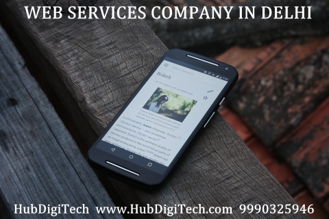 Web Services Company in Delhi